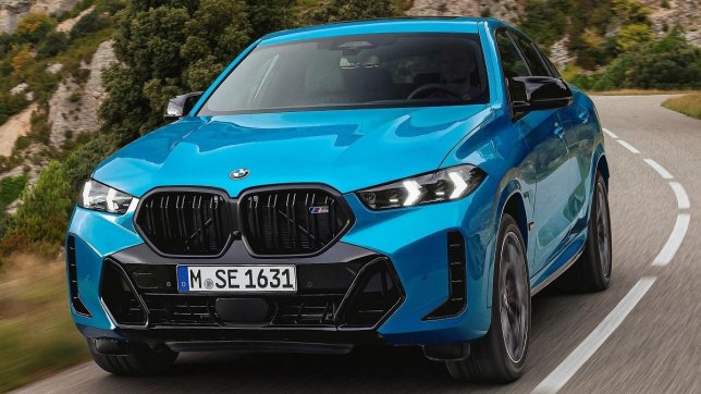 2024 BMW X6