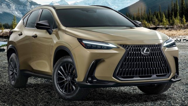 2025 Lexus NX 350 Overtail版