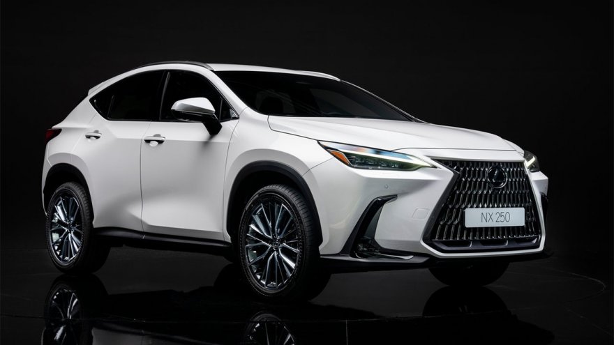 2024 Lexus NX 250豪華版